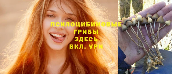 эйфоретик Коряжма