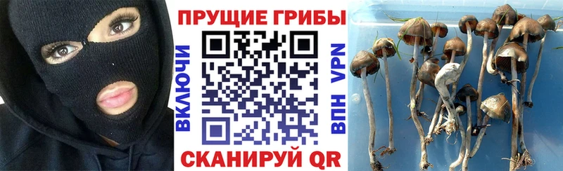 Галлюциногенные грибы GOLDEN TEACHER  Балашиха 