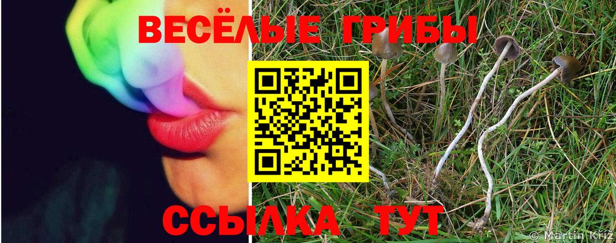 Балашиха  Псилоцибиновые грибы Psilocybine cubensis  Вход с VPN 