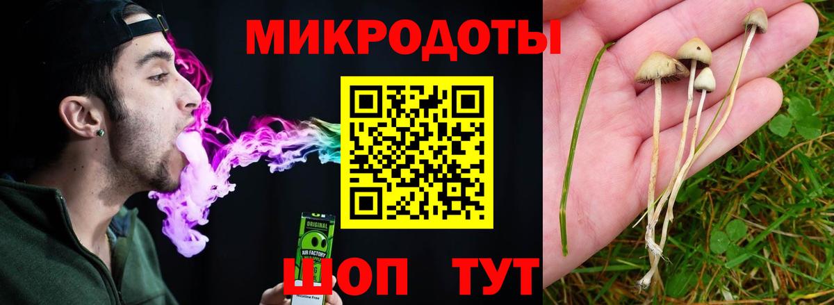 Псилоцибиновые грибы Psilocybe Балашиха