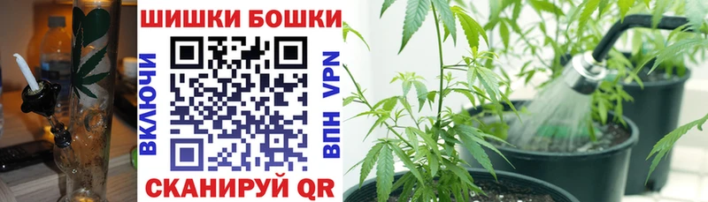 Бошки марихуана SATIVA & INDICA  Балашиха 